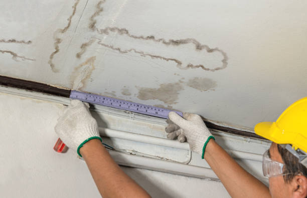 Affordable Water Damage Repair solutions in Donnelsville, OH